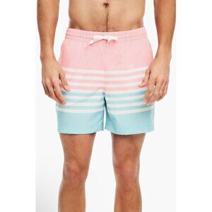 Chubbies on the horizon swim trunks large